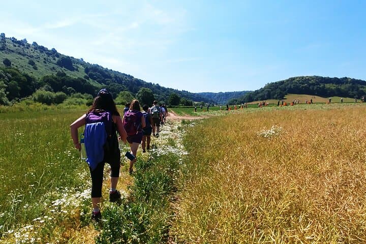 King Arthur's Wye Valley Walk: Symonds Yat Guided Hike photo 5