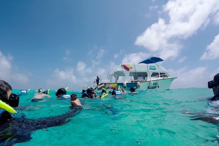Full-Day Cozumel Reef Snorkeling from Cancun — Dzul-Ha, Casa Blanca & Dalila photo 3