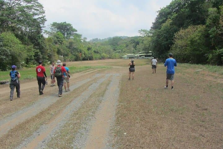 Day Trip to Sirena Station — Corcovado National Park from Drake Bay photo 3
