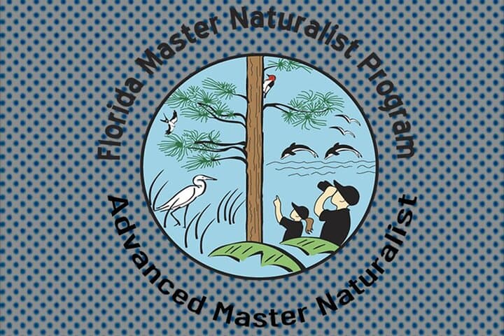 Paddle Lofton Creek: Guided Kayak Eco Tour on Amelia Island photo 3