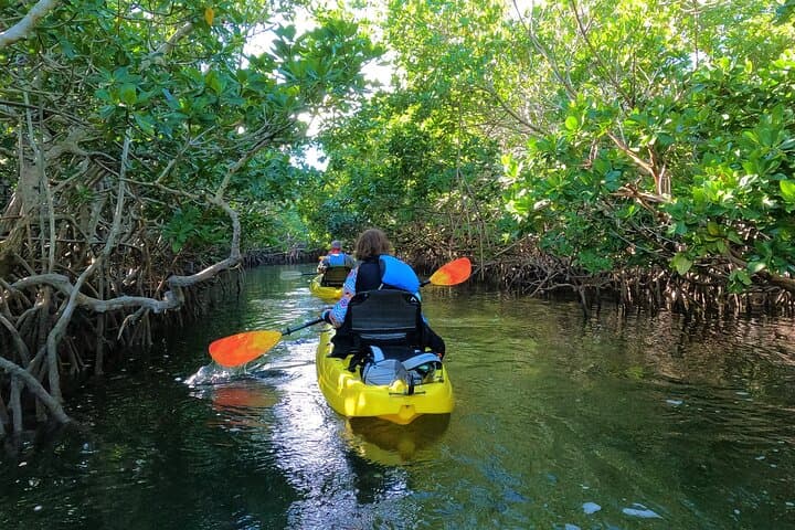Paddle the Mangrove Tunnels: 3-Hour Kayak Adventure in Key Largo photo 3