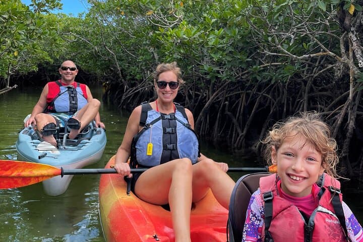 Paddle the Mangrove Tunnels: 3-Hour Kayak Adventure in Key Largo