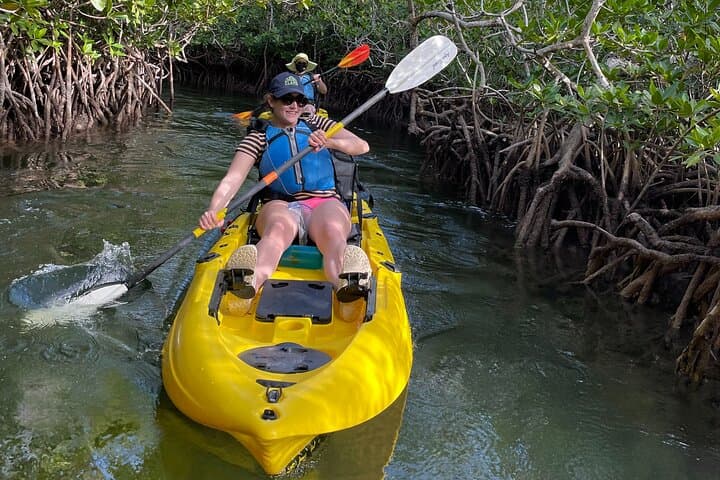 Paddle the Mangrove Tunnels: 3-Hour Kayak Adventure in Key Largo photo 5
