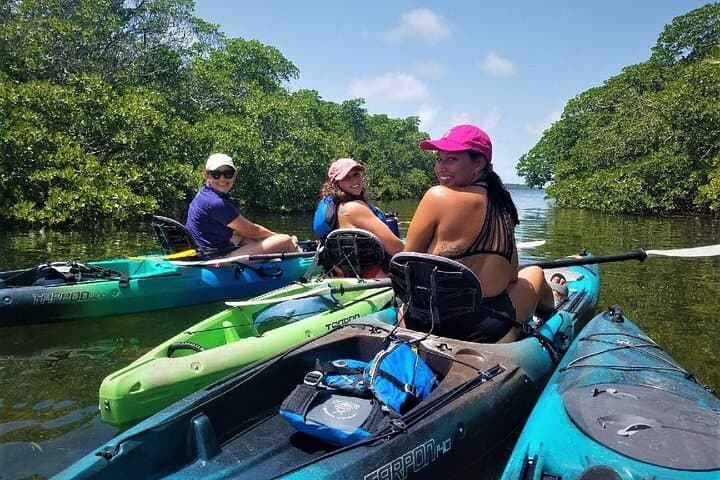 Paddle the Mangrove Tunnels: 3-Hour Kayak Adventure in Key Largo photo 2