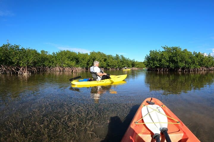 Paddle the Mangrove Tunnels: 3-Hour Kayak Adventure in Key Largo photo 4