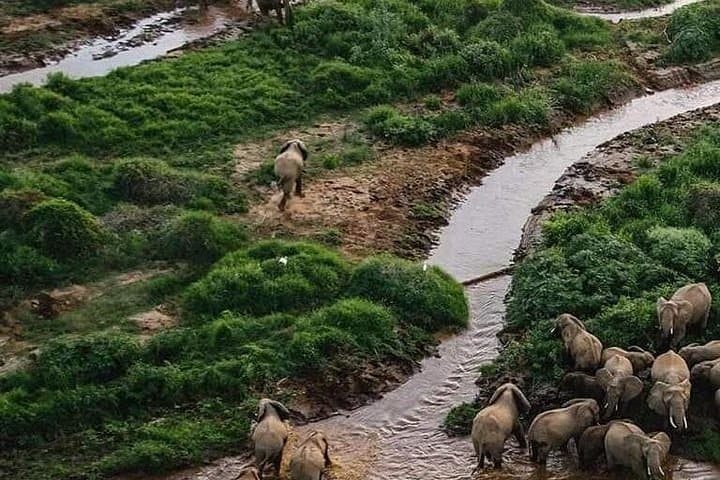 5-Day Wildebeest Calving Safari: Tarangire, Serengeti & Ngorongoro photo 2