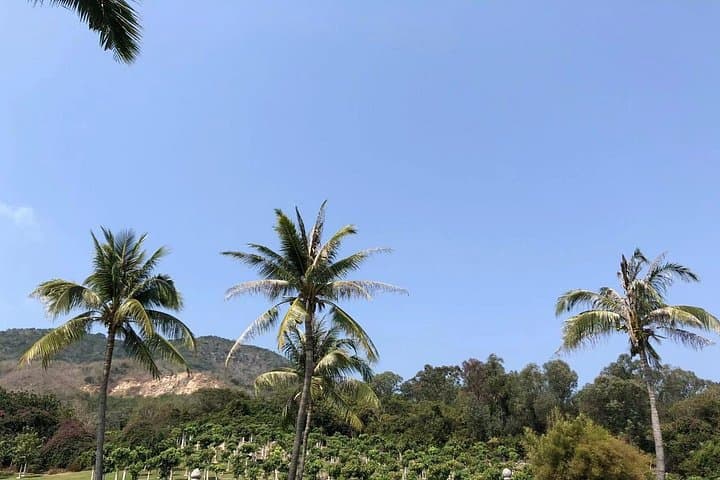 Sanya Private Day Tour — Nanshan Cultural Zone & Luhuitou Park Guide photo 4