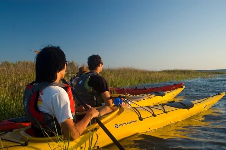 Corolla Kayak Adventure: Guided Kayak Tour on Currituck Sound photo 4