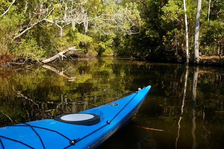 Kayak Rental on the Outer Banks — Paddle Kitty Hawk Woods Coastal Preserve photo 3