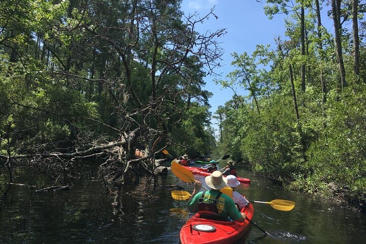 Kayak Rental on the Outer Banks — Paddle Kitty Hawk Woods Coastal Preserve photo 6