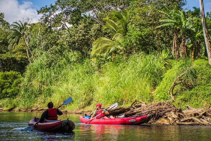 Peñas Blancas Kayak Safari from La Fortuna — Wildlife Float on Arenal's River photo 4