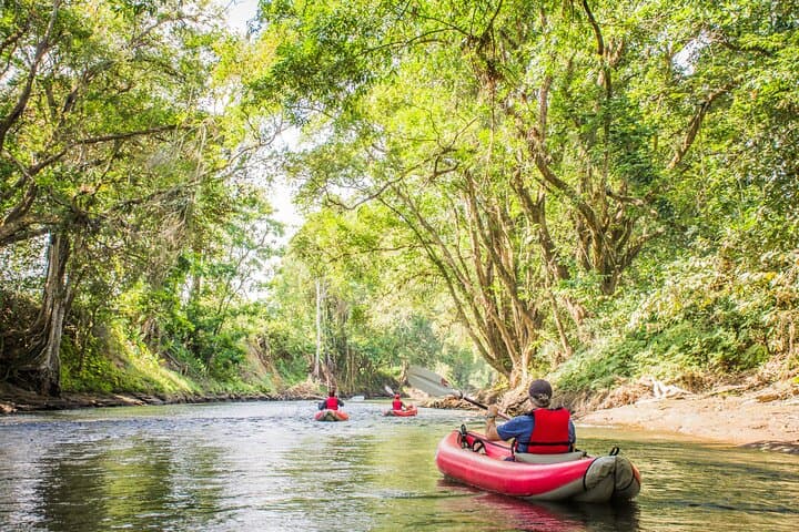 Peñas Blancas Kayak Safari from La Fortuna — Wildlife Float on Arenal's River photo 6