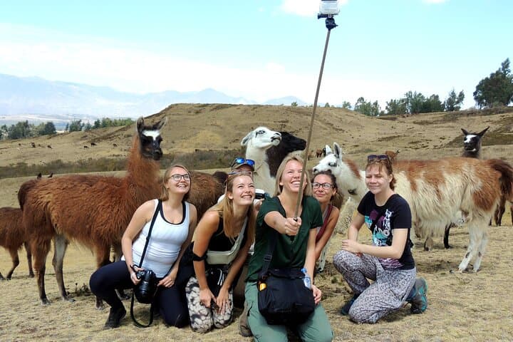 Cochasquí Pyramids & Quitsato Equator Day Tour from Quito — Llamas, Volcano Views and Rose Farms