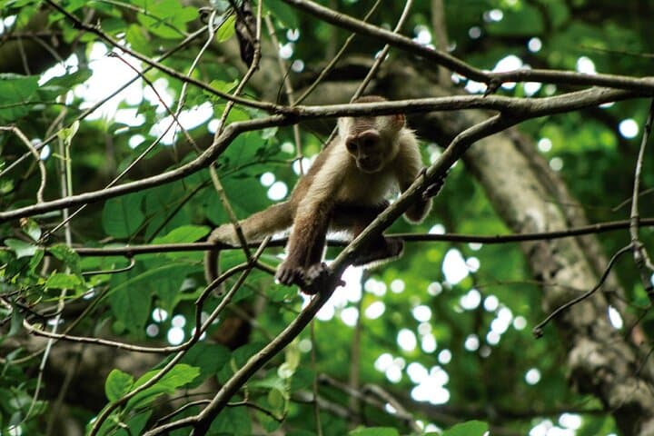 Explore Piedras de Donama: Private Day Tour in Sierra Nevada de Santa Marta photo 2