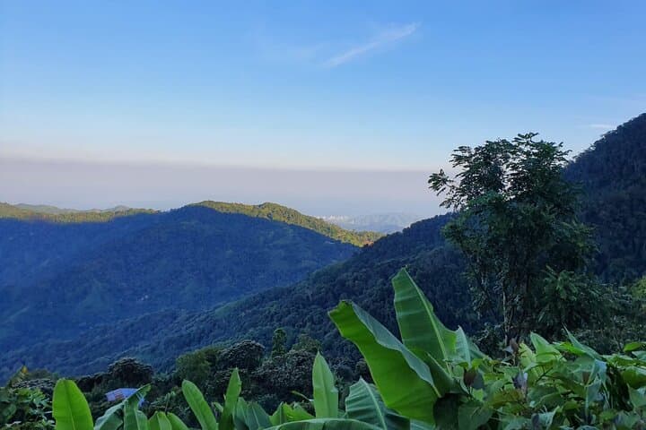 Explore Piedras de Donama: Private Day Tour in Sierra Nevada de Santa Marta photo 5