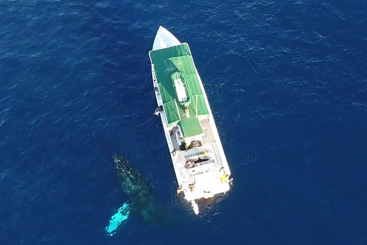 Explore Lanai’s Underwater World: Private Sanity Vessel Charter from Kaanapali Beach