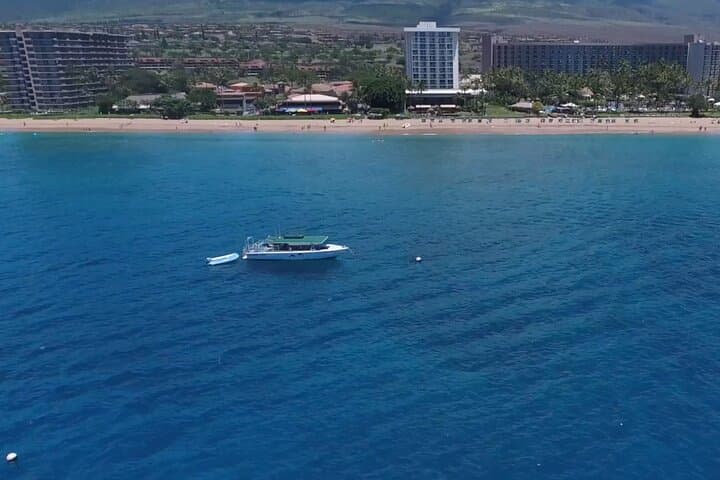 Explore Lanai’s Underwater World: Private Sanity Vessel Charter from Kaanapali Beach photo 3