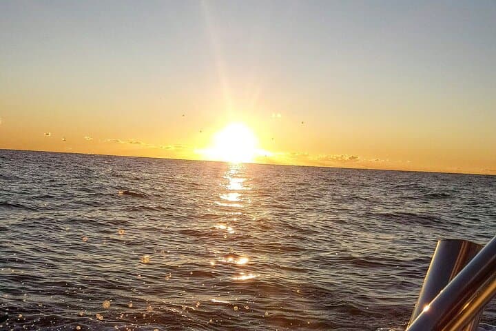Marbella Sunset Boat Tour: Champagne Cruise and Dolphin Watch