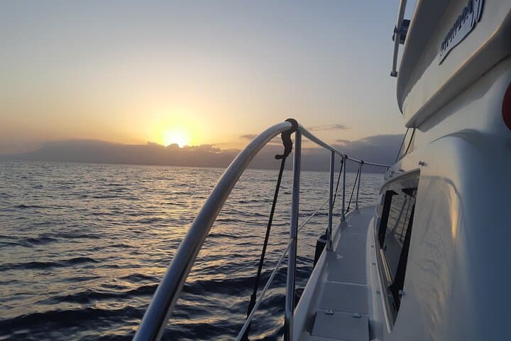 Marbella Sunset Boat Tour: Champagne Cruise and Dolphin Watch photo 6