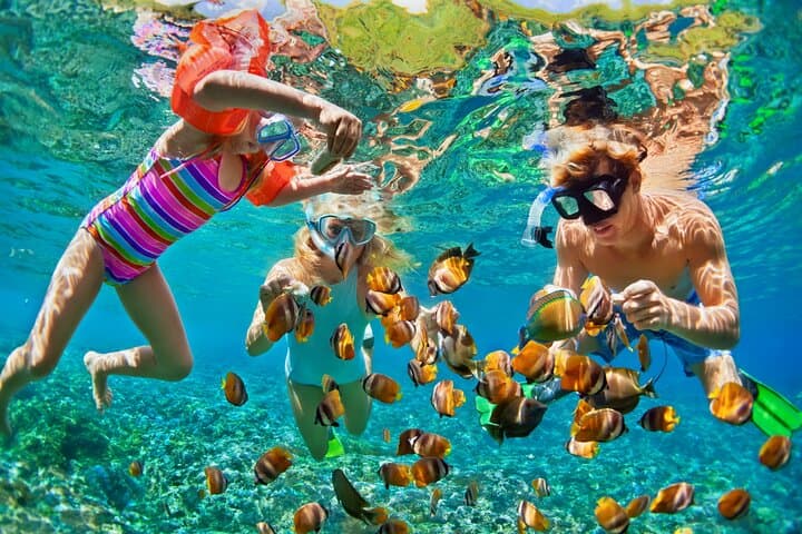 Nizuc Reef Snorkel Experience — Nichupté Lagoon Ride & MUSA Underwater Museum