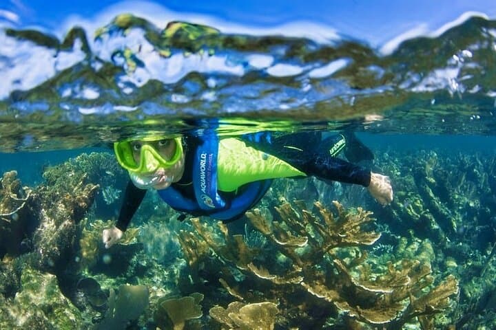 Nizuc Reef Snorkel Experience — Nichupté Lagoon Ride & MUSA Underwater Museum photo 3