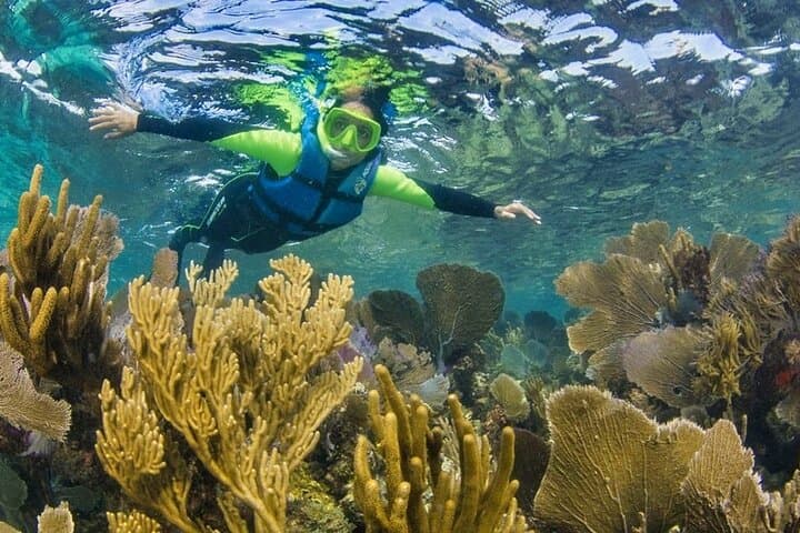 Nizuc Reef Snorkel Experience — Nichupté Lagoon Ride & MUSA Underwater Museum photo 4