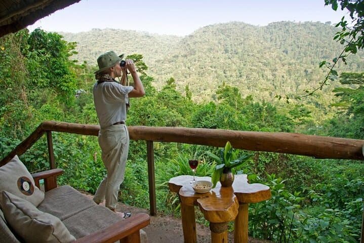 8-Day Uganda Safari: Chimpanzee Tracking, Murchison Falls & Kazinga Channel Wildlife Viewing photo 3
