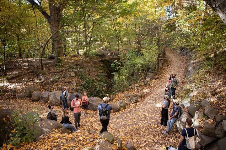 Prospect Park Guided Walking Tour: History, Nature & Restoration in Brooklyn photo 3