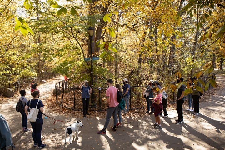 Prospect Park Guided Walking Tour: History, Nature & Restoration in Brooklyn