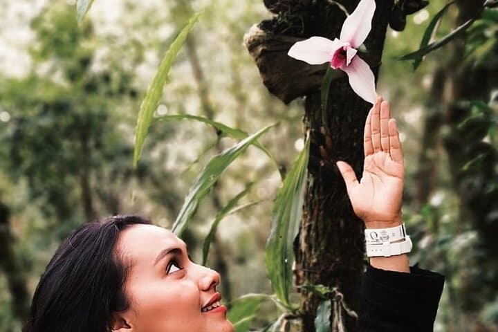 Orquigonia Orchid Sanctuary: Half-Day Tour from Cobán photo 3