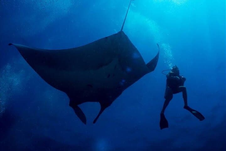 Similan Islands 2-Day Liveaboard: Advanced Scuba Diving from Phuket