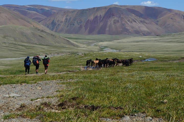 Altai Tavan Bogd Trek: 10-Day Nomad Camps, Malchin Peak & Khoton Lake photo 4