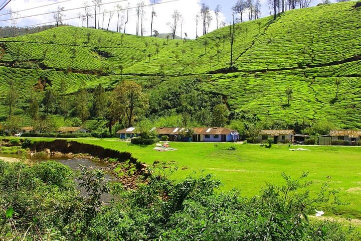 Short Break Kerala: 4-Day Munnar, Thekkady & Alleppey Backwaters Escape photo 5