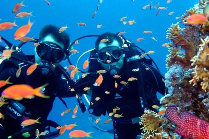 Full-Day Scuba Diving Tour on Turkey's Turquoise Coast (Antalya) photo 5