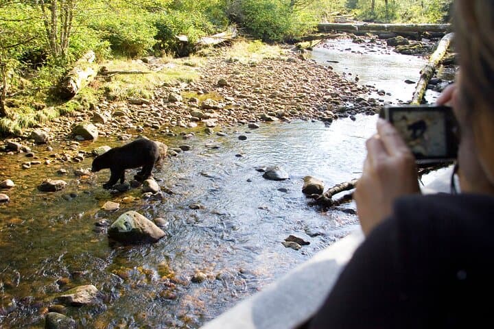 Into the Wild: Semi-Private Wilderness & Wildlife Hike in Kananaskis (3-Hour)