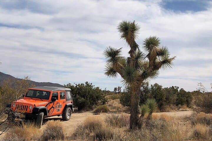 Joshua Tree National Park Offroad Jeep Tour: Rugged 4x4 Adventure from Palm Springs photo 4