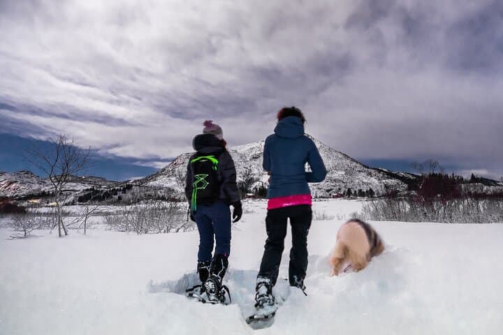 Snowshoeing in Lofoten: 3-Hour Arctic Walk from Svolvær photo 3