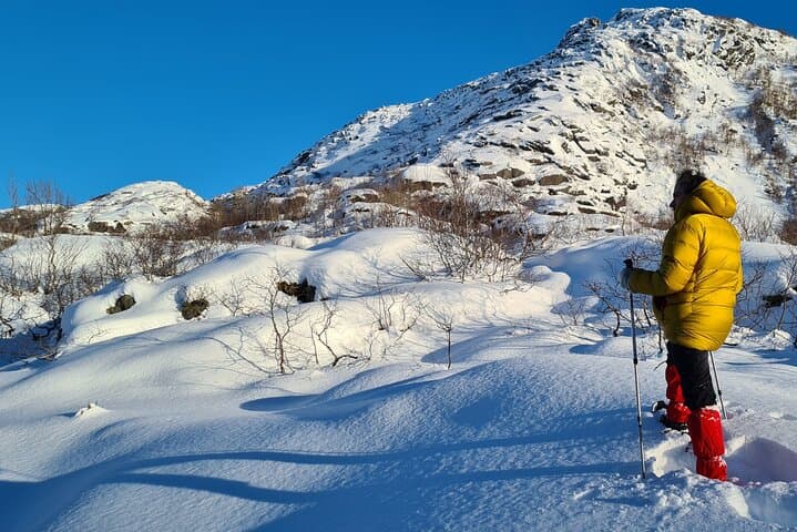 Snowshoeing in Lofoten: 3-Hour Arctic Walk from Svolvær photo 4