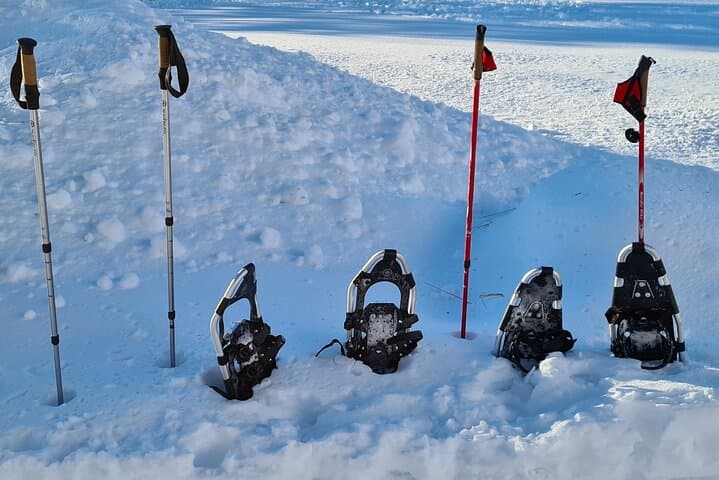 Snowshoeing in Lofoten: 3-Hour Arctic Walk from Svolvær photo 5