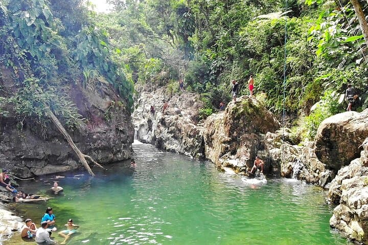 Rainforest River Nature Walk and Luquillo Beach — El Yunque Half-Day Adventure photo 5