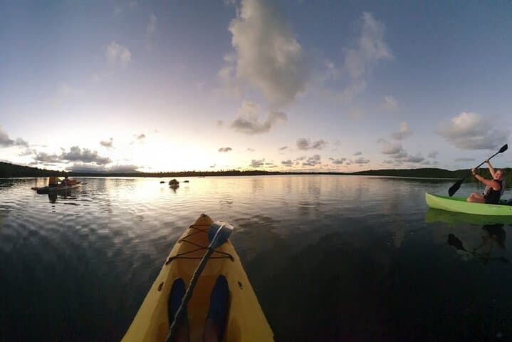 Fajardo Bioluminescent Bay Night Kayak Adventure — Laguna Grande Guided Tour