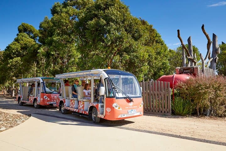 Explore the Australian Garden: The Explorer Tour at Cranbourne Gardens photo 3