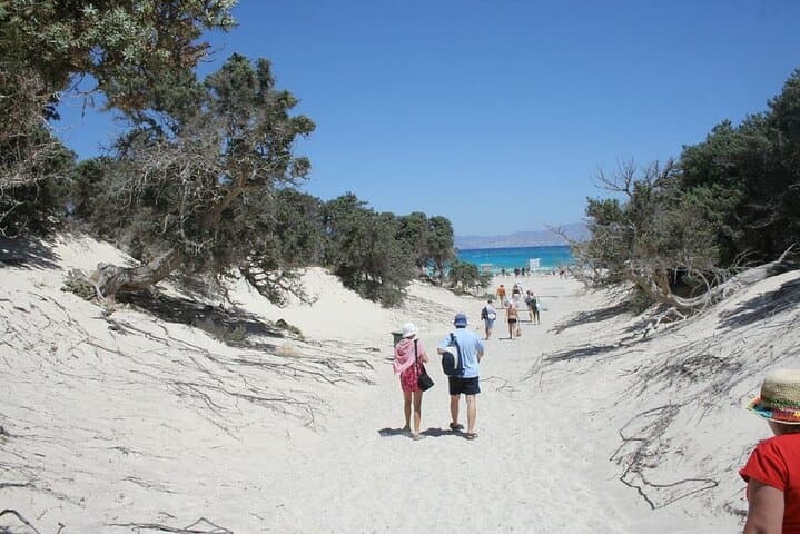 Chrissi Island Day Cruise from Ierapetra — Golden Beach & Cedar Grove Escape photo 3