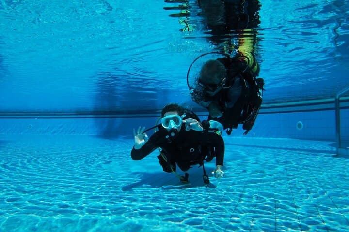 Madeira Open Water Diver Course (SSI or PADI) near the Whale Museum photo 3
