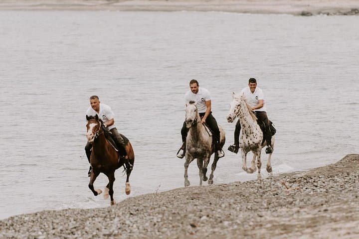 Santorini Beach Gallop: Caldera Cliff Horse Riding Safari for Experienced Riders photo 3