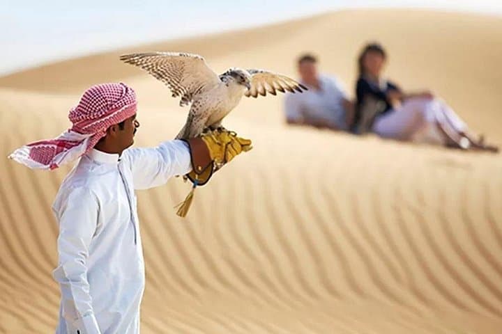 Dubai City Tour and Evening Desert Safari — One-Day Combo with BBQ Dinner photo 2