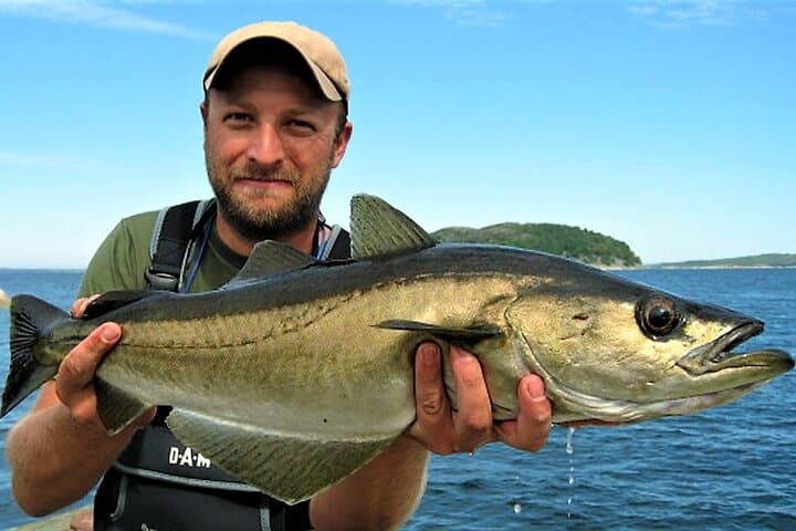 Donegal Coast Deep-Sea Fishing: Private Guided Angling in Donegal Bay