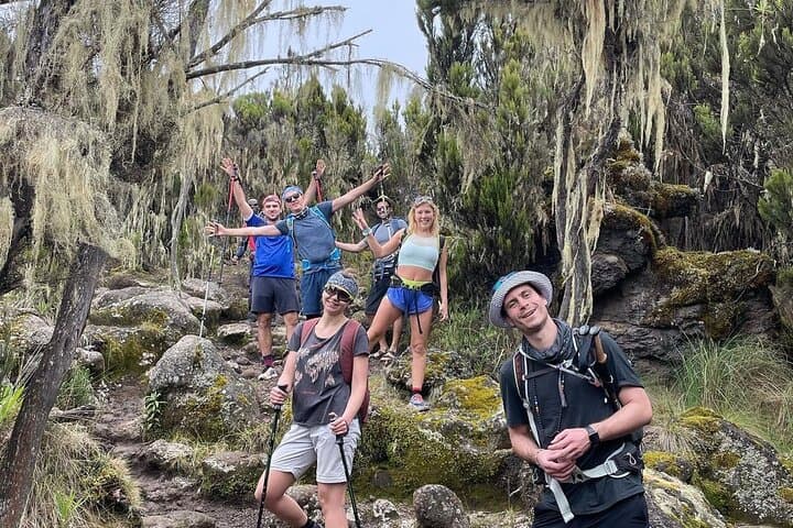 Kilimanjaro Half-Day Hike: Marangu Rainforest Trek to Mandara Hut photo 6