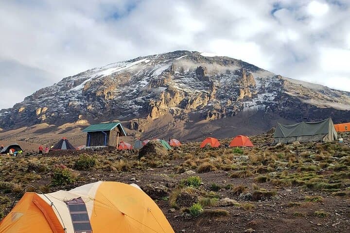 Umbwe Route Kilimanjaro: Private 6-Day Ascent to Uhuru Peak via Southern Circuit photo 4