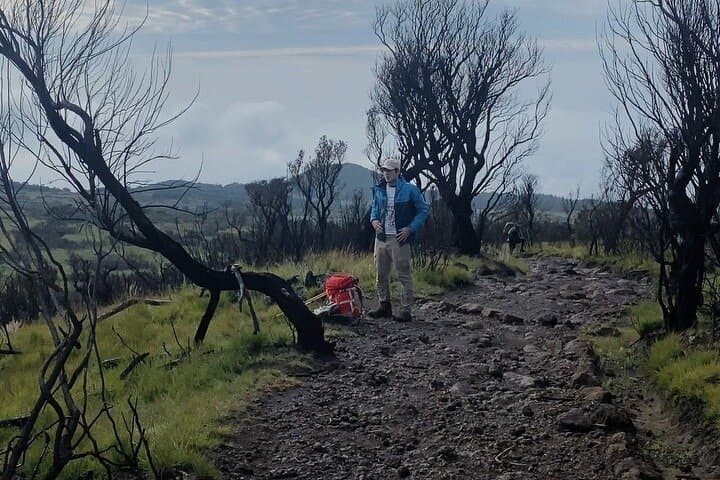 Private Kilimanjaro Rongai Route: 6-Day Summit Trek from Moshi photo 2